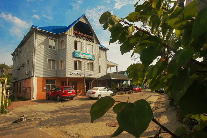 Магнолия - фото 3