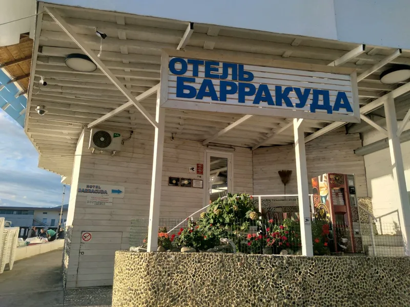 Барракуда Адлер - фото 3